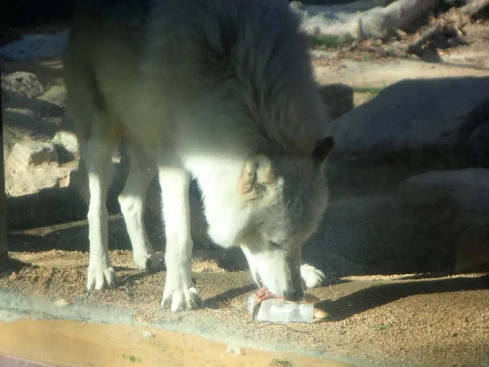 ケーキを食べるユウキ