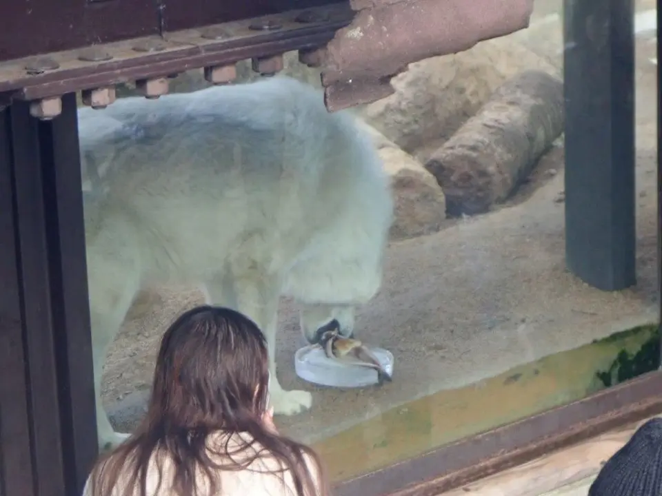 ケーキを食べるユウキ
