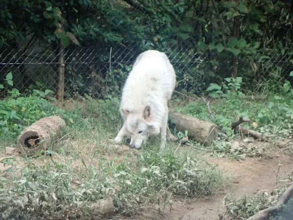 おやつを食べるユウキ