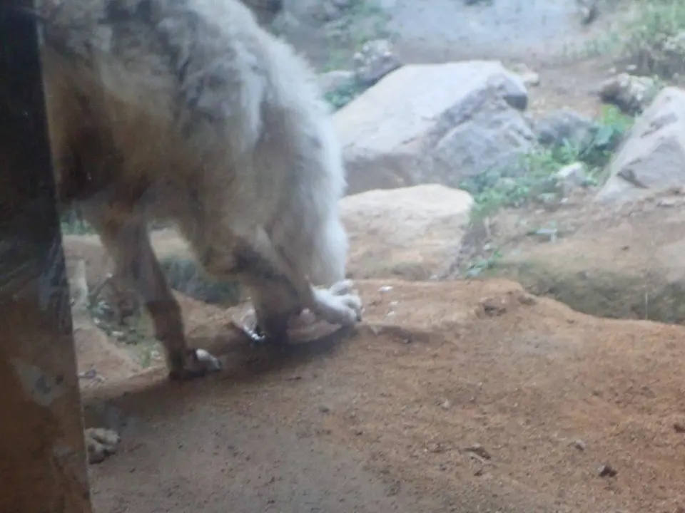 おやつを食べるユウキ