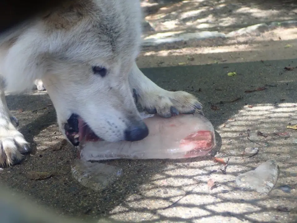 おやつを食べるユウキ