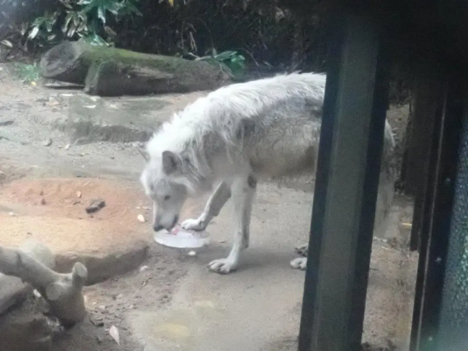 おやつを食べるユウキ
