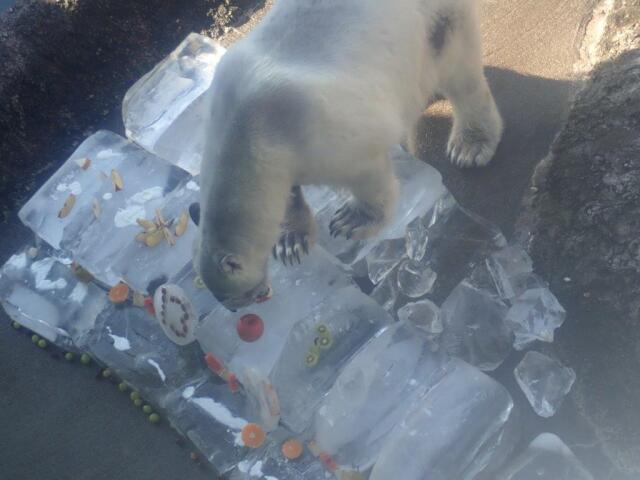 ¥±¡¼¥¤ò¿©¤Ù¤ë¥Ý¥í¥í¢