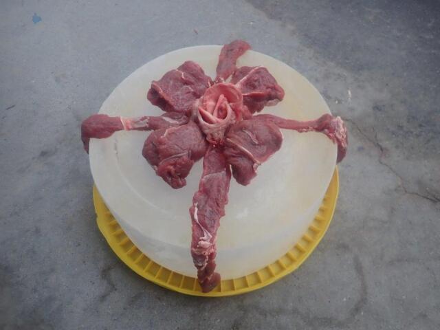 ���ꥹ�ޥ�������