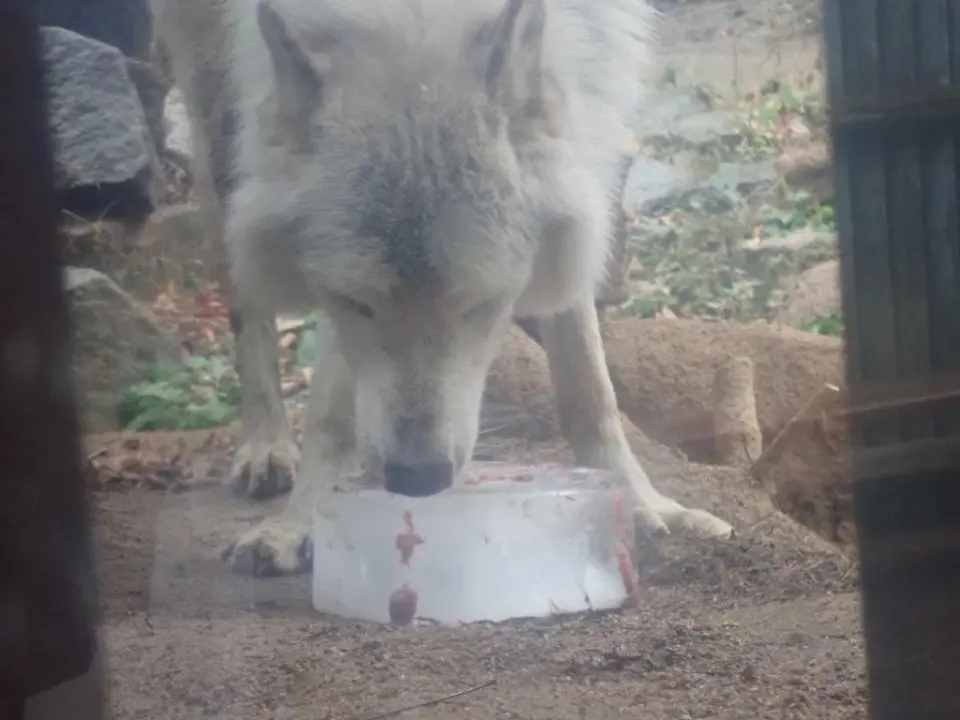 ケーキを食べるユウキ