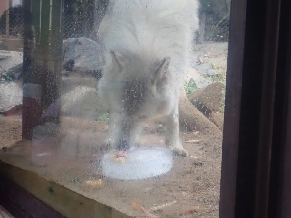 ケーキを食べるユウキ