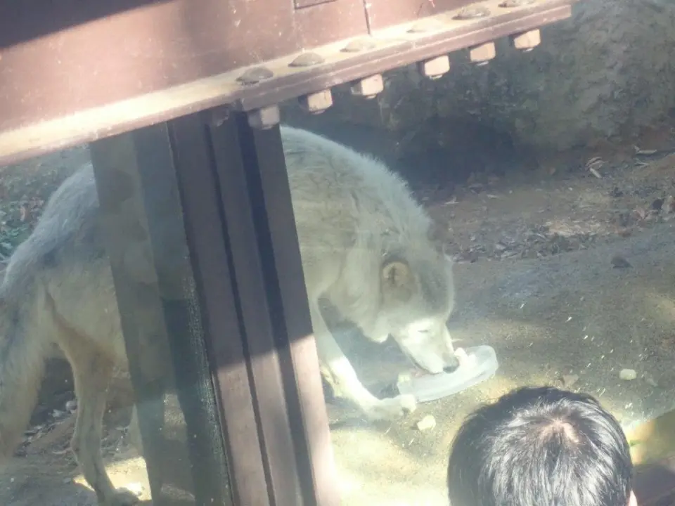 ケーキを食べるユウキ