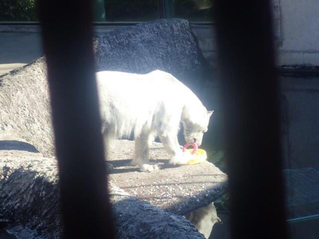 2�Ĥδ���ͷ�֥ݥ���