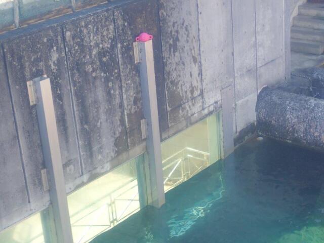 ��˾�ä����