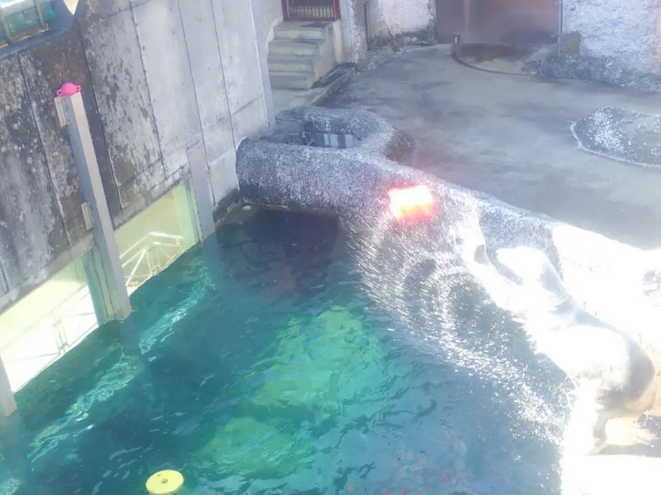 玩具を落とそうとするポロロ