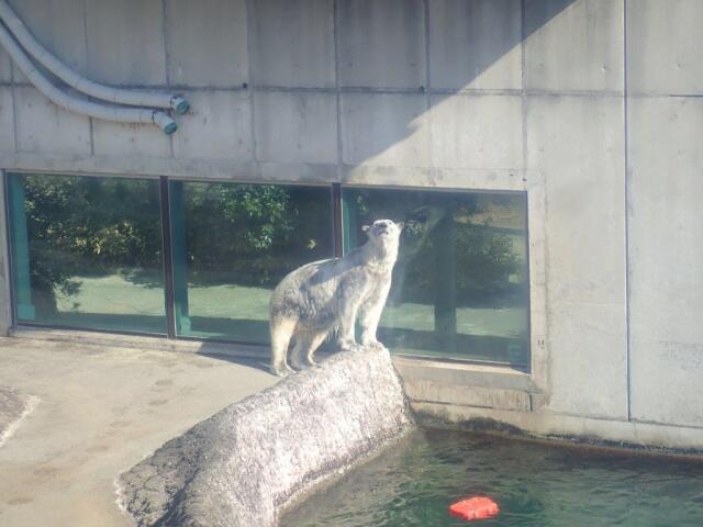 ͷ�����Υ��ꥹ�ꤹ��ݥ���