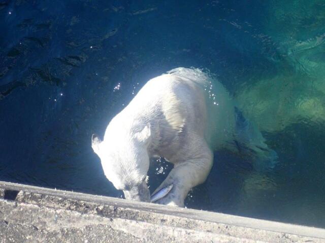 ���亮�򿩤٤�ݥ���