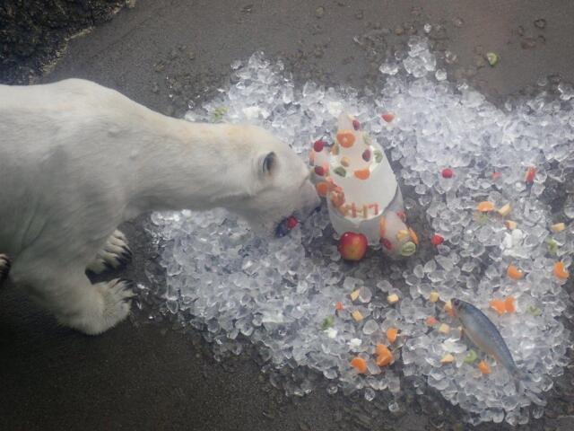 �������򿩤٤�ݥ���