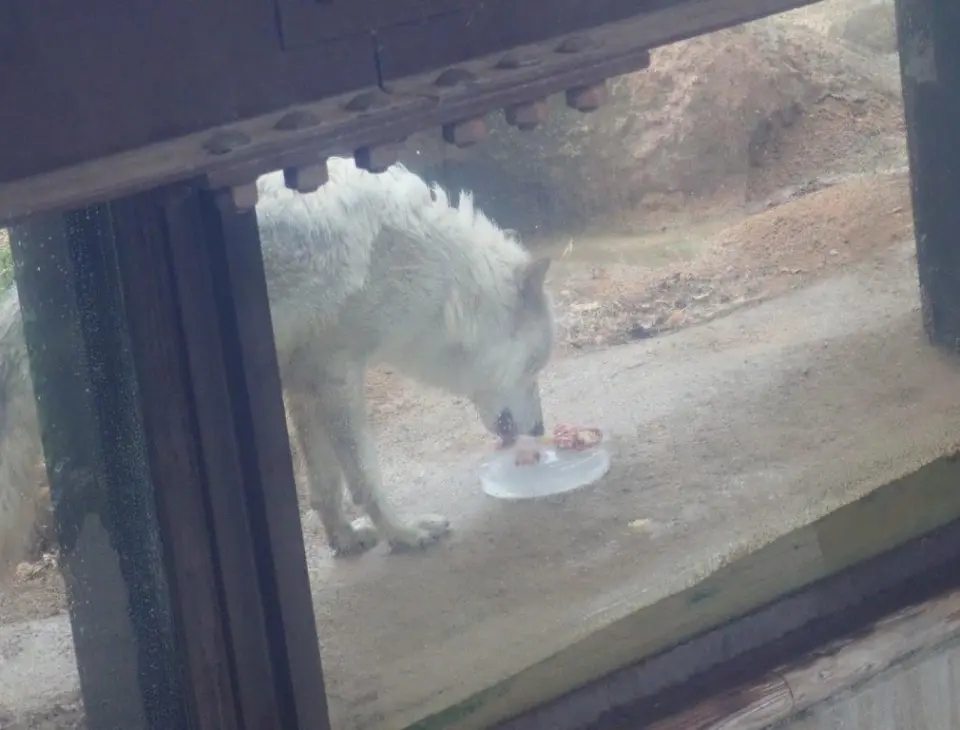 ケーキを食べるユウキ