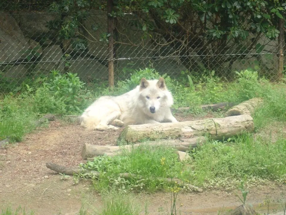 緑に囲まれたユウキ