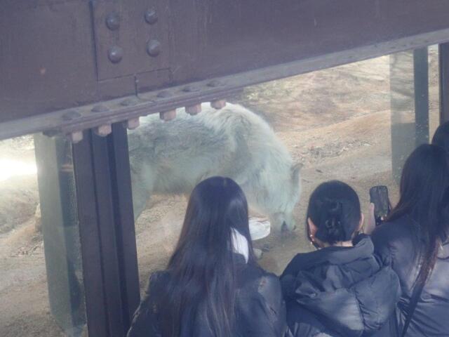 �������򿩤٤�楦��