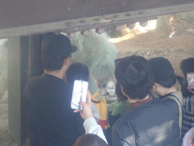 ����Ĥ򿩤٤�楦��