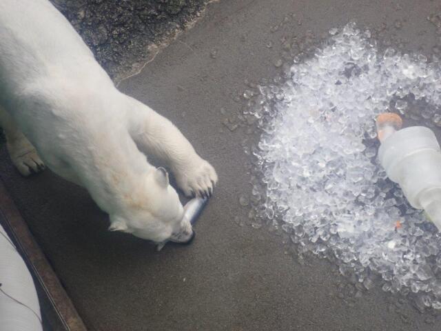 ���򿩤٤�ݥ���