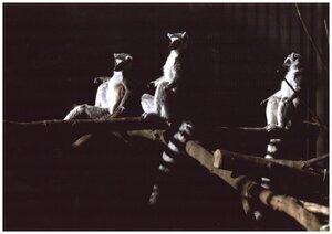 「日向ぼっこ」 宇野 義隆