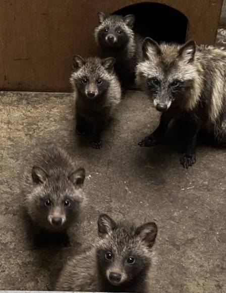 �ۥ�ɥ��̥���Ƭ�ʥ�����Ƭ���᥹��Ƭ��