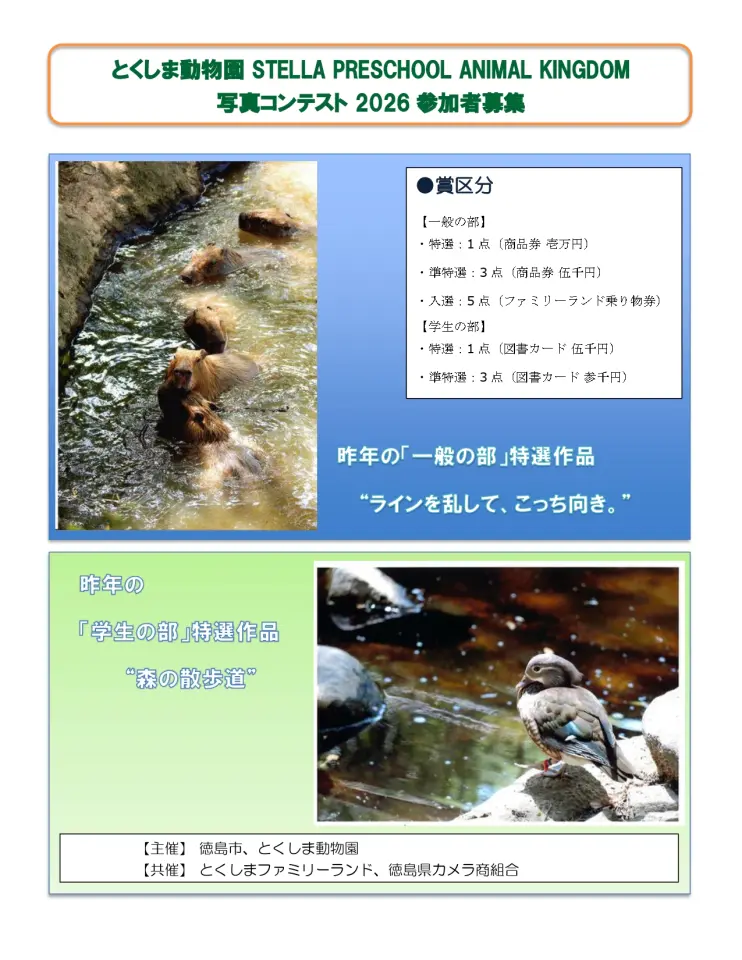 作品募集リーフレット(表)